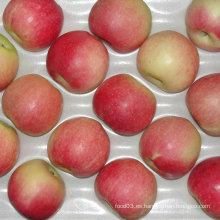 Gala roja china fresca Apple de la huerta a su almacén